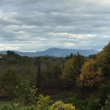 Zoe A Mountaintop Retreat דירה *