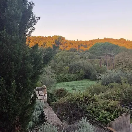 アパート Zoe A Mountaintop Retreat