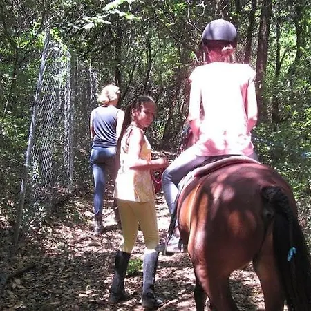 Zoe A Mountaintop Retreat Kalafationes