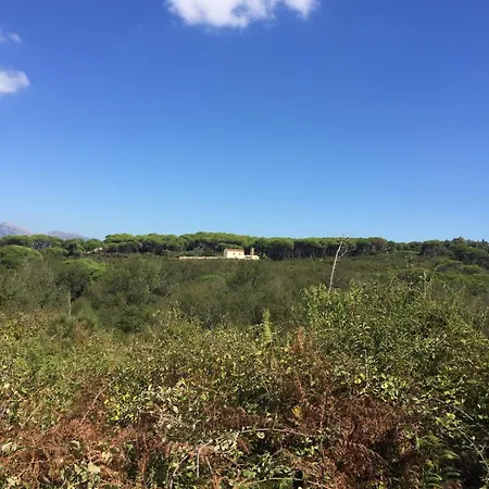 Zoe A Mountaintop Retreat アパート