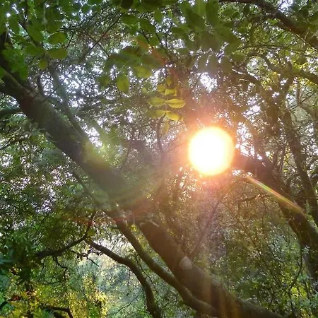 Zoe A Mountaintop Retreat アパート *