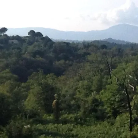 Zoe A Mountaintop Retreat Kalafationes