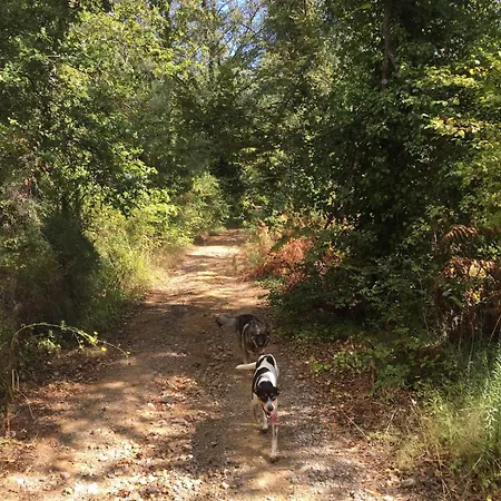 アパート Zoe A Mountaintop Retreat