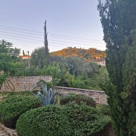 Zoe A Mountaintop Retreat アパート Kalafationes