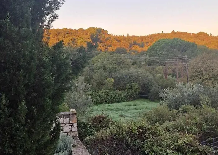Apartment Zoe A Mountaintop Retreat