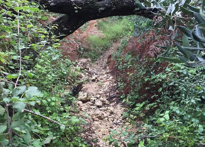 Zoe A Mountaintop Retreat * Kalafationes