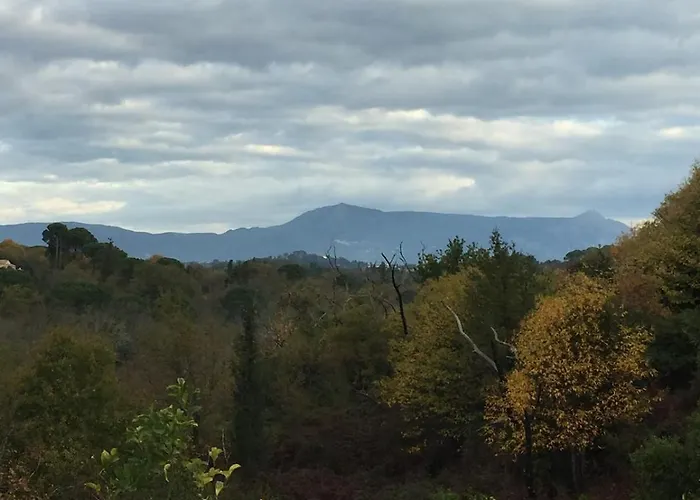 Zoe A Mountaintop Retreat Apartment *
