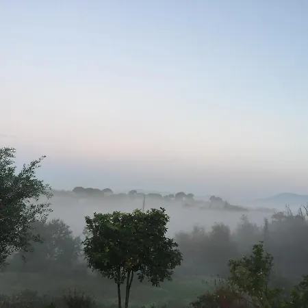 Zoe A Mountaintop Retreat Appartement *