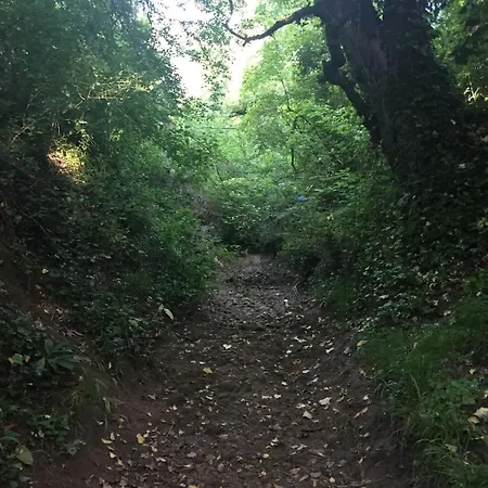 Zoe A Mountaintop Retreat